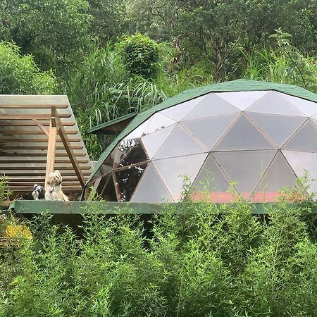 Magic Elf Glamping Apartment Mindo Luaran gambar