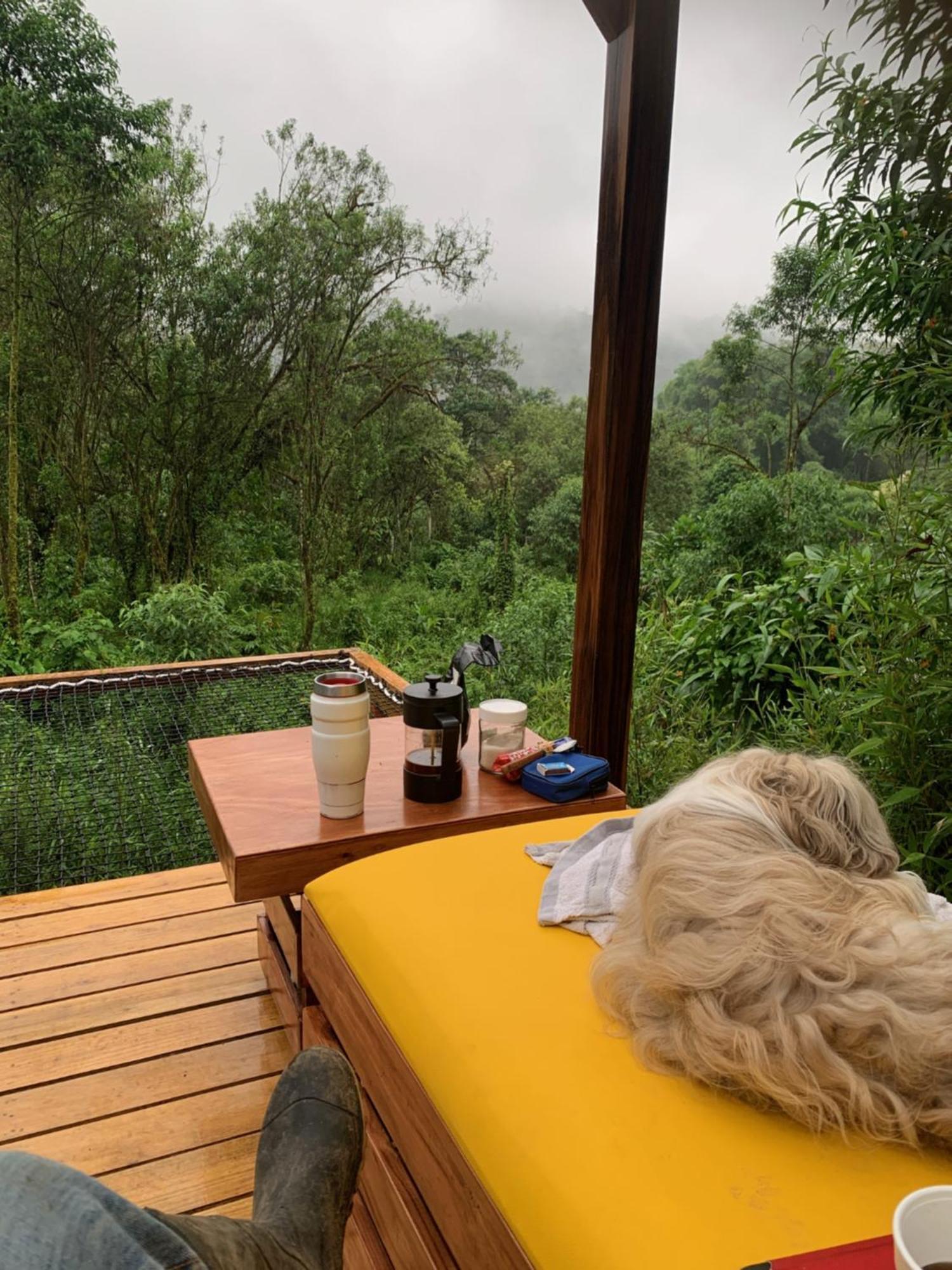 Magic Elf Glamping Apartment Mindo Luaran gambar