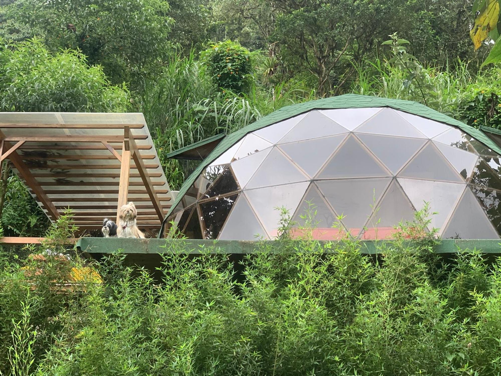 Magic Elf Glamping Apartment Mindo Luaran gambar