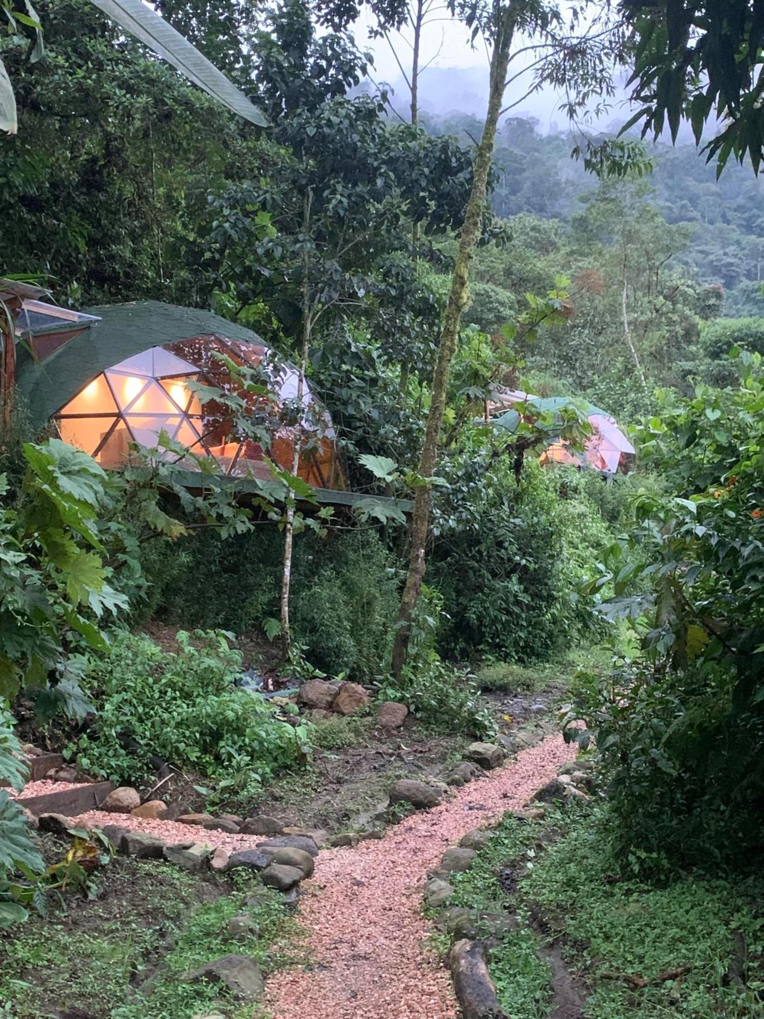 Magic Elf Glamping Apartment Mindo Luaran gambar
